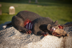 Zombie Rat